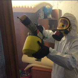 Уничтожение клопов в квартире. Авдотьино